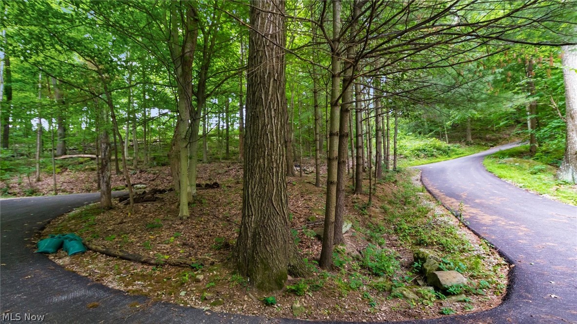 72845 Old Twenty One Road Kimbolton, OH 43749 - Photo 33 of 50