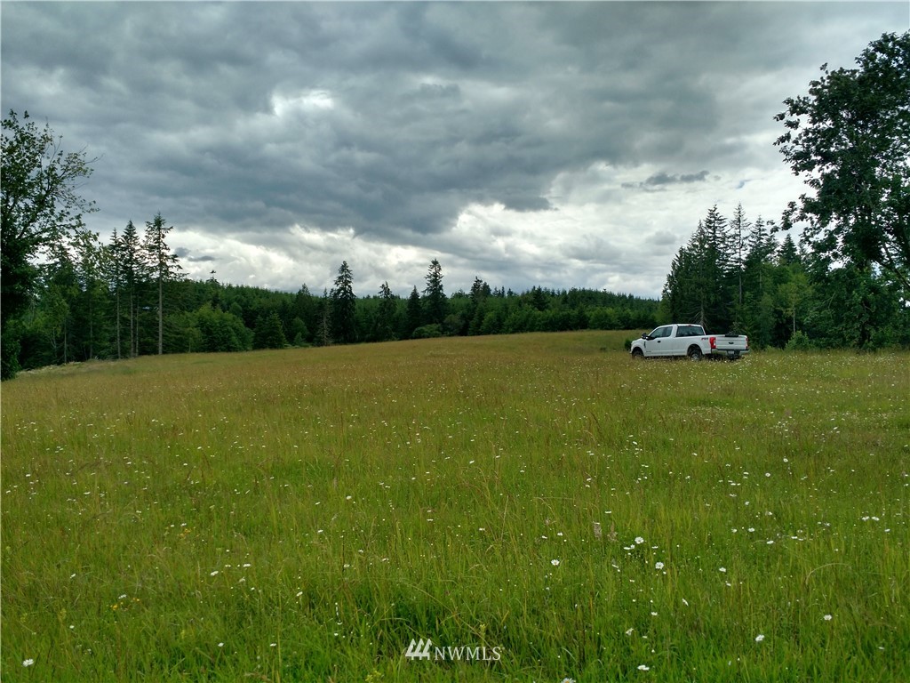 0 Arnold Road Southwest Rochester, WA 98579 - Photo 2 of 21 Gallery Image 2