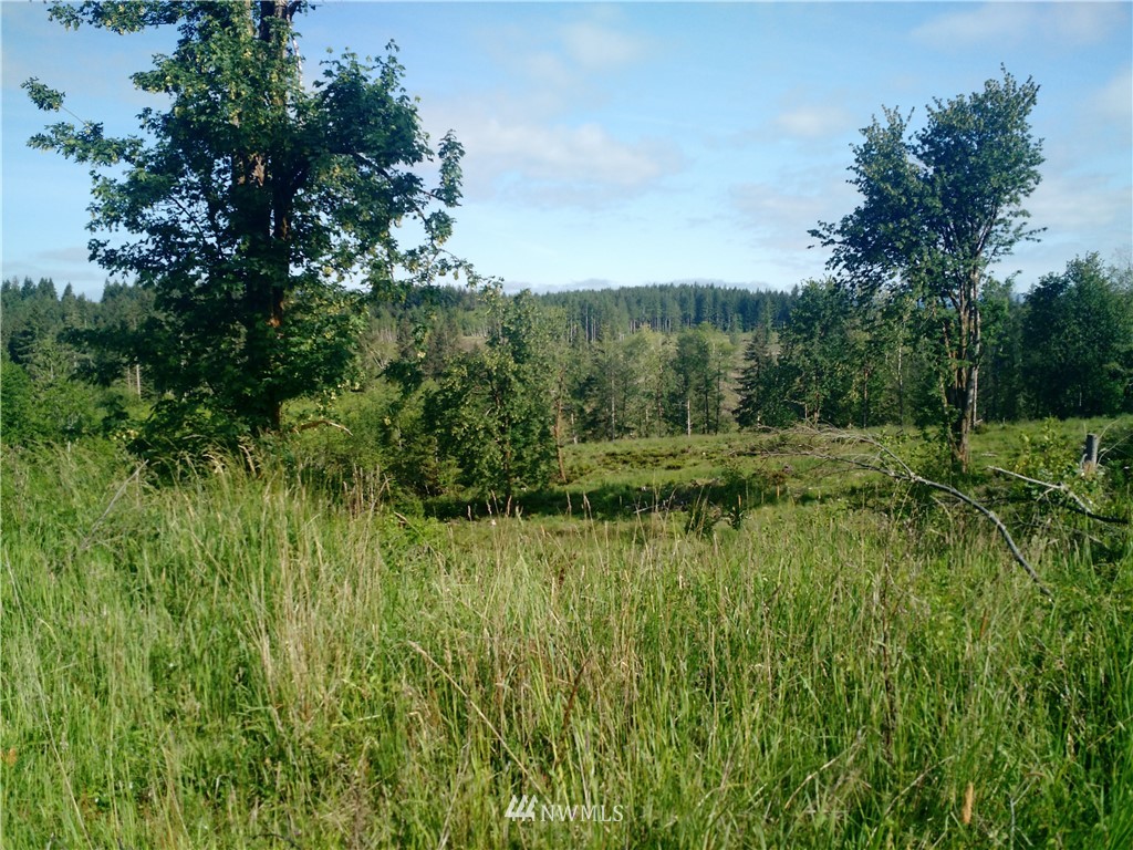 0 Arnold Road Southwest Rochester, WA 98579 - Photo 11 of 21 Gallery Image 11