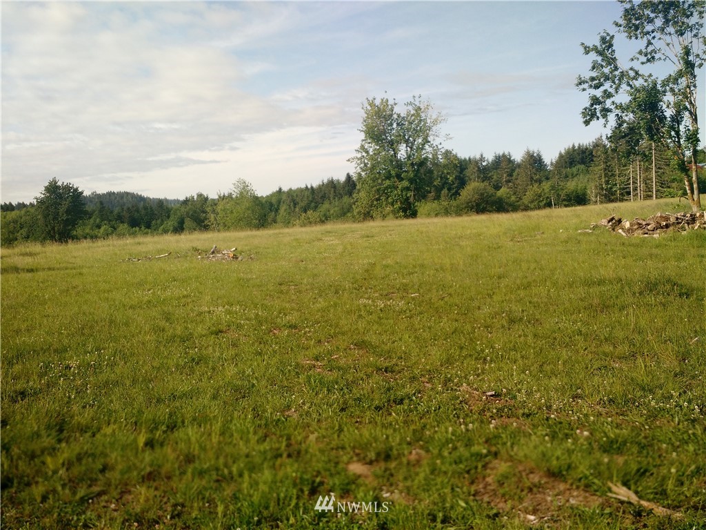 0 Arnold Road Southwest Rochester, WA 98579 - Photo 14 of 21 Gallery Image 14