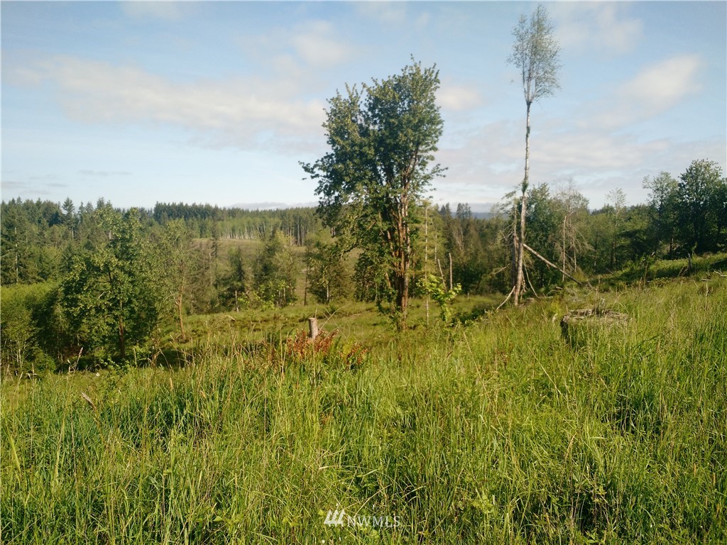 0 Arnold Road Southwest Rochester, WA 98579 - Photo 15 of 21 Gallery Image 15