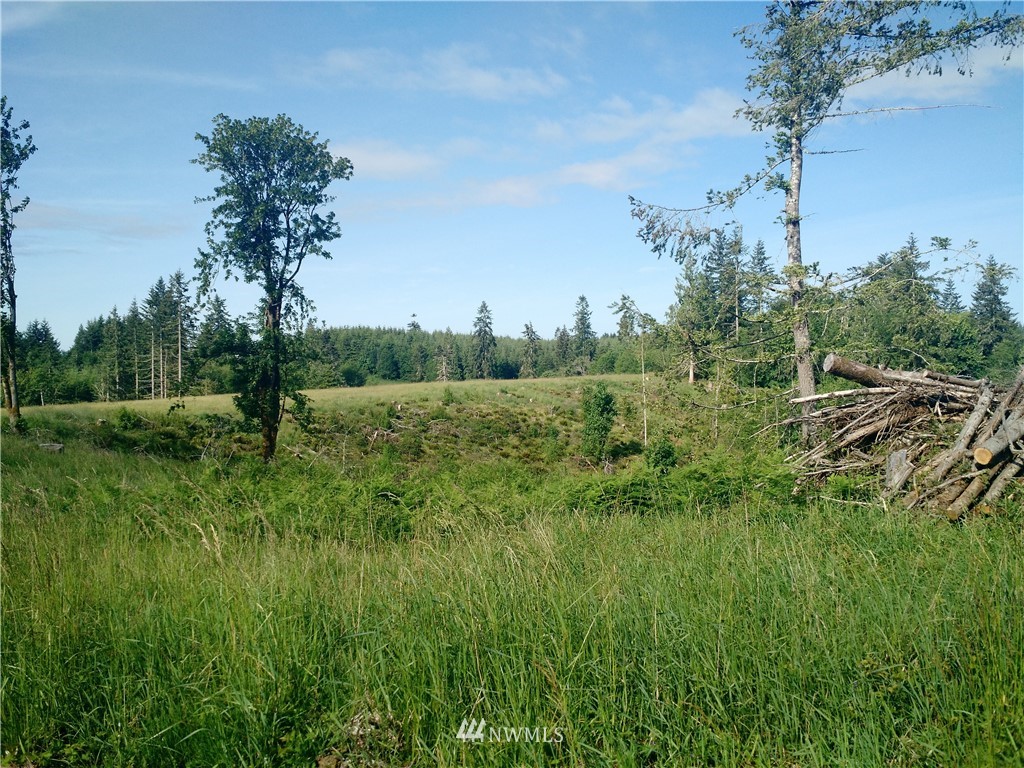 0 Arnold Road Southwest Rochester, WA 98579 - Photo 17 of 21 Gallery Image 17