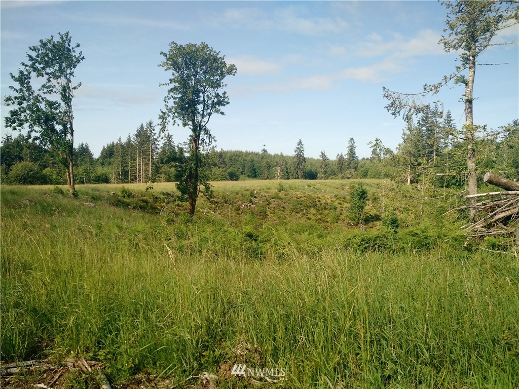 0 Arnold Road Southwest Rochester, WA 98579 - Photo 18 of 21 Gallery Image 18