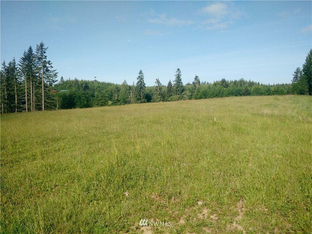0 Arnold Road Southwest Rochester, WA 98579 - Photo 19 of 21 Gallery Image 19