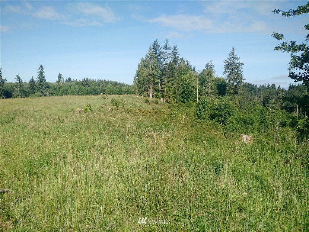 0 Arnold Road Southwest Rochester, WA 98579 - Photo 20 of 21 Gallery Image 20