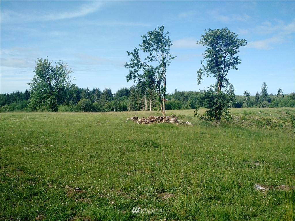 0 Arnold Road Southwest Rochester, WA 98579 - Photo 5 of 21 Gallery Image 5