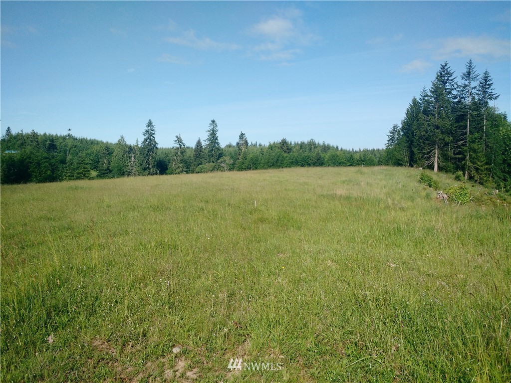 0 Arnold Road Southwest Rochester, WA 98579 - Photo 8 of 21 Gallery Image 8