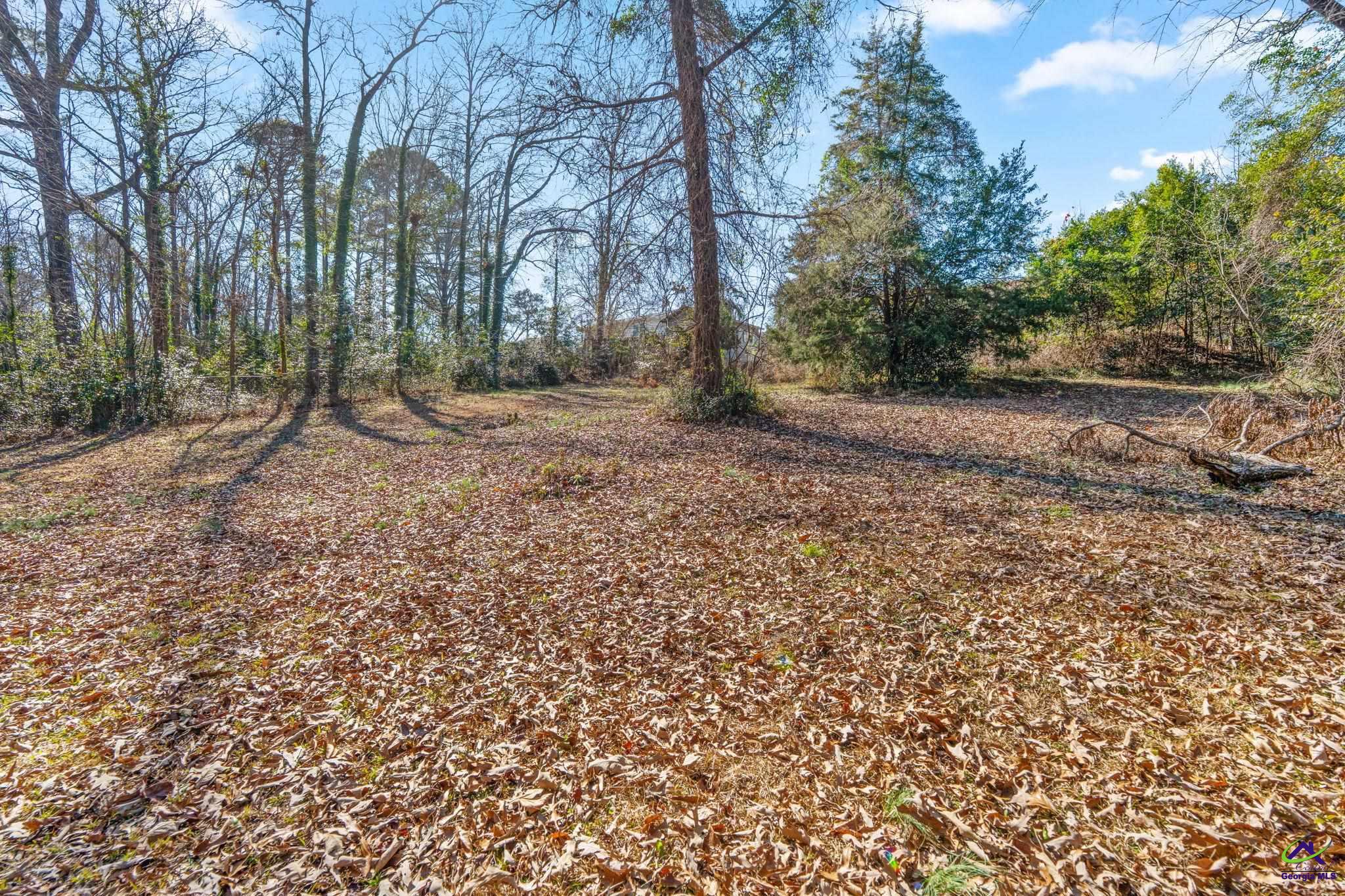 1012 Briarcliff Road Warner Robins, GA 31088 - Photo 40 of 40 Gallery Image 40