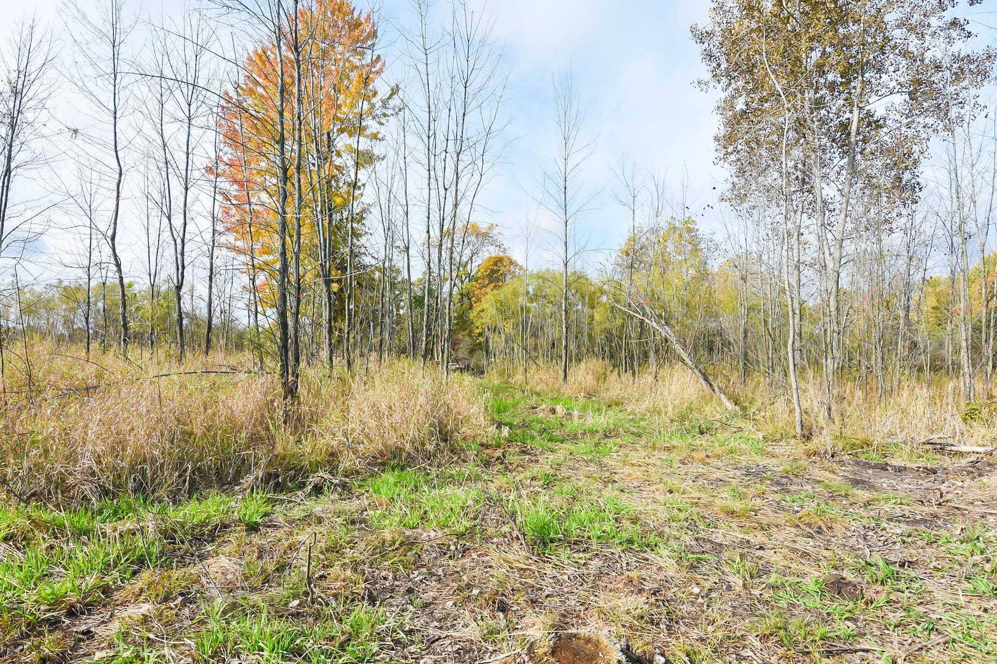 17122 Geddes Road Hemlock, MI 48626 - Photo 7 of 8