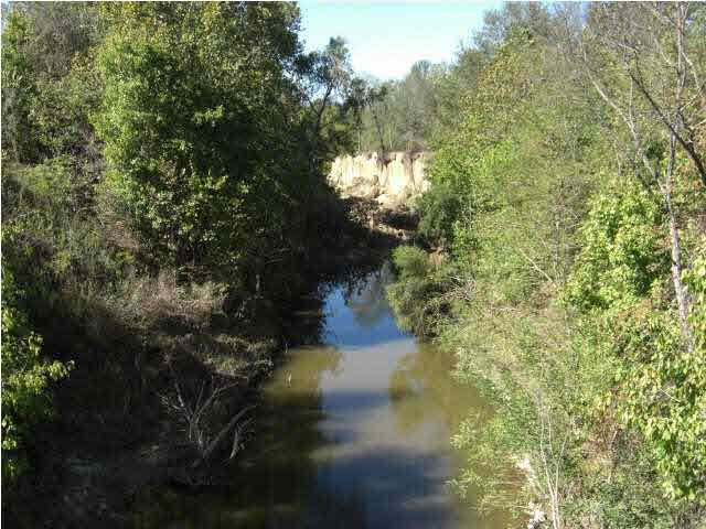 Piney Creek