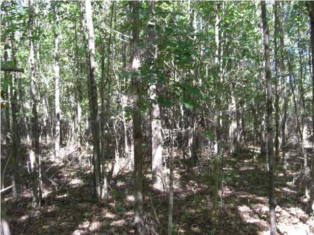 Hardwoods