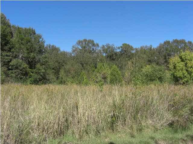Open Home Site