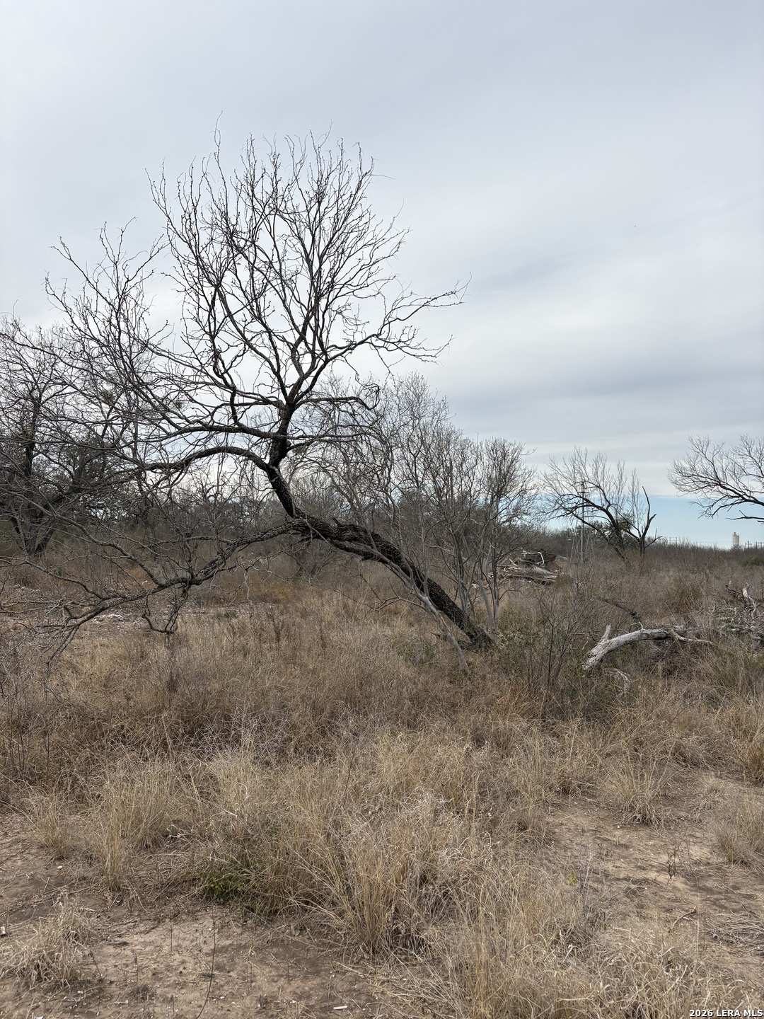 1490 Highway 90 Uvalde, TX 78801 - Photo 3 of 4 a view of beach and covered with snow