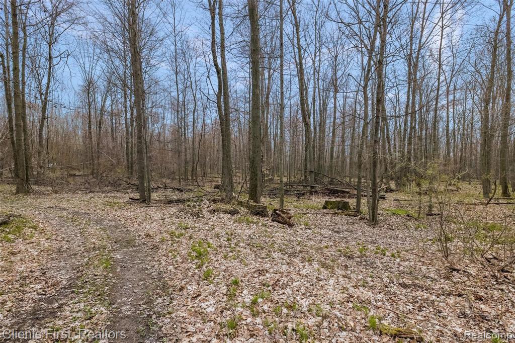 8260 South Lincoln Road Shepherd, MI 48883 - Photo 60 of 68