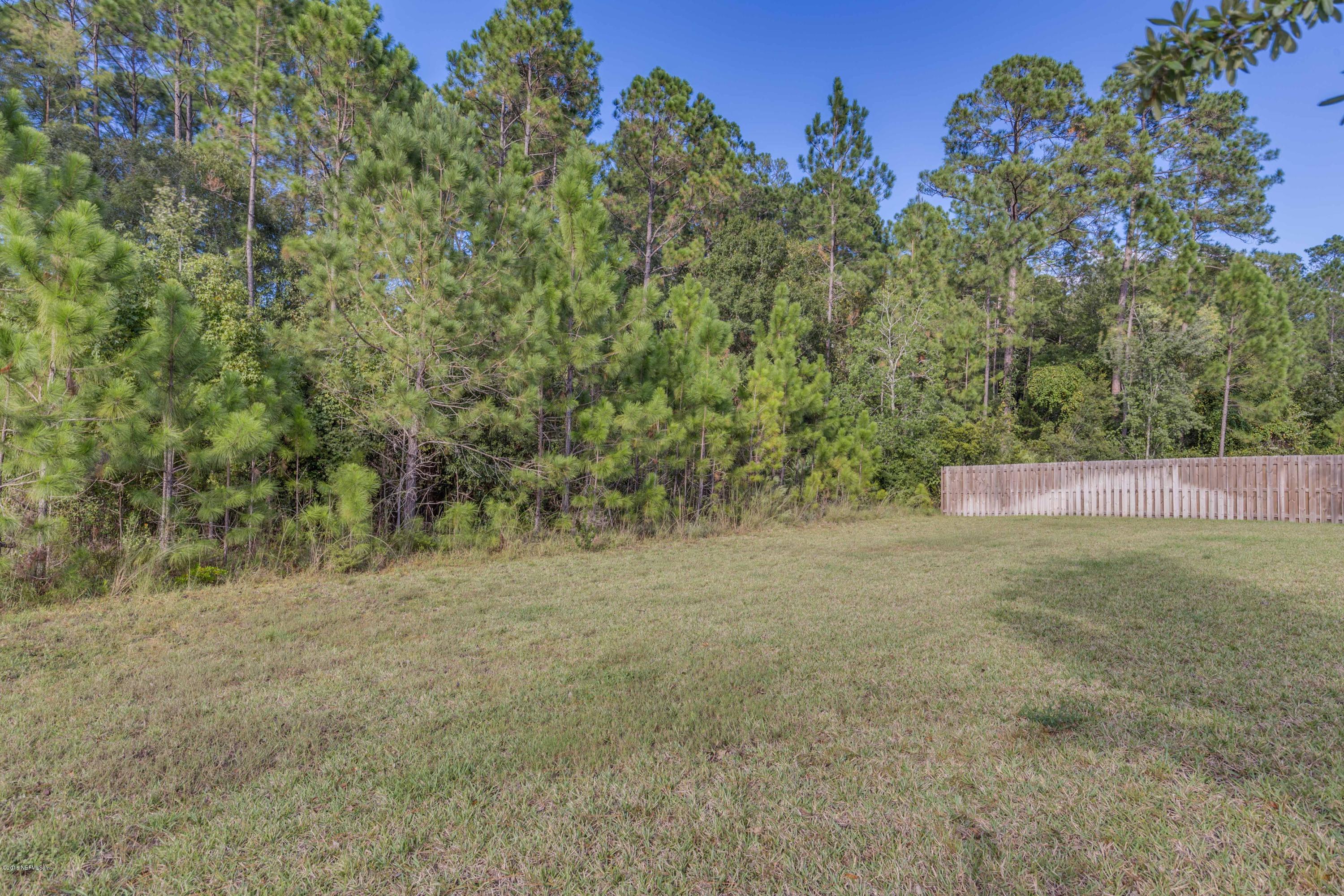 10921 Dunnotar Road Jacksonville, FL 32221 - Photo 29 of 34 Backyard-2