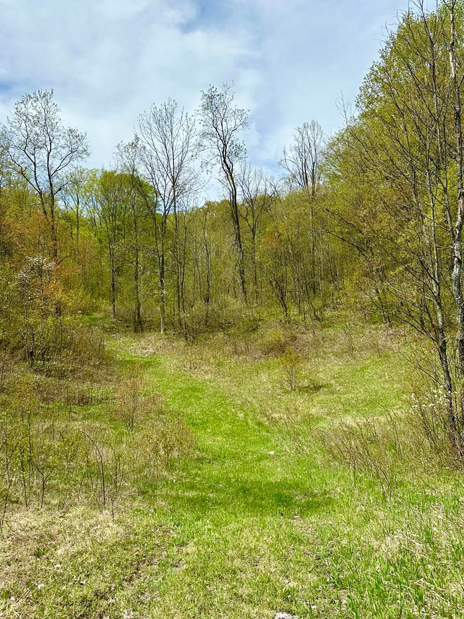 9090 Strilecky Road Atlanta, MI 49709 - Photo 46 of 55 Gallery Image 46