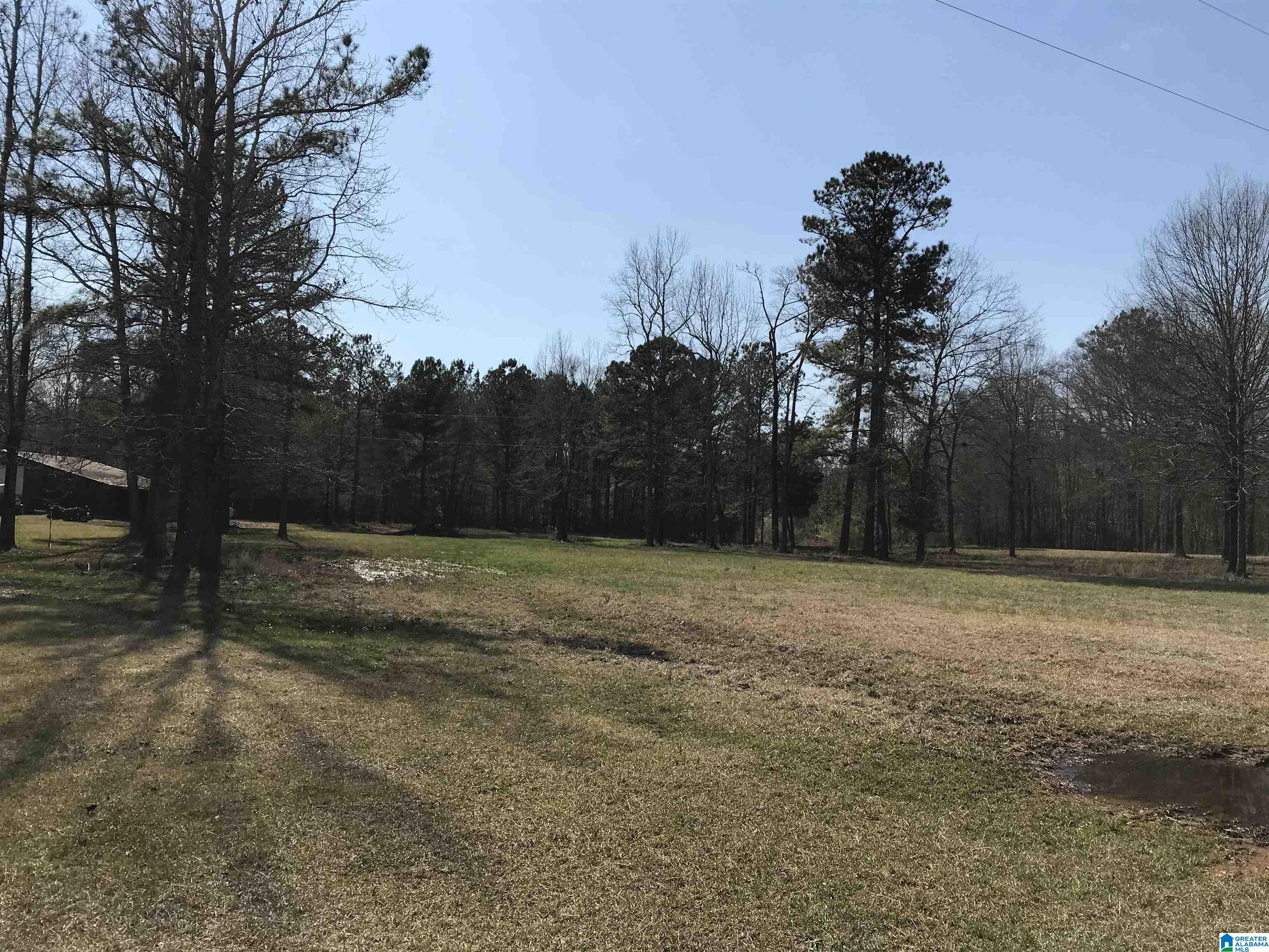 3 Chancellors Ferry Road, Unit 1 Harpersville, AL 35078 - Photo 5 of 14