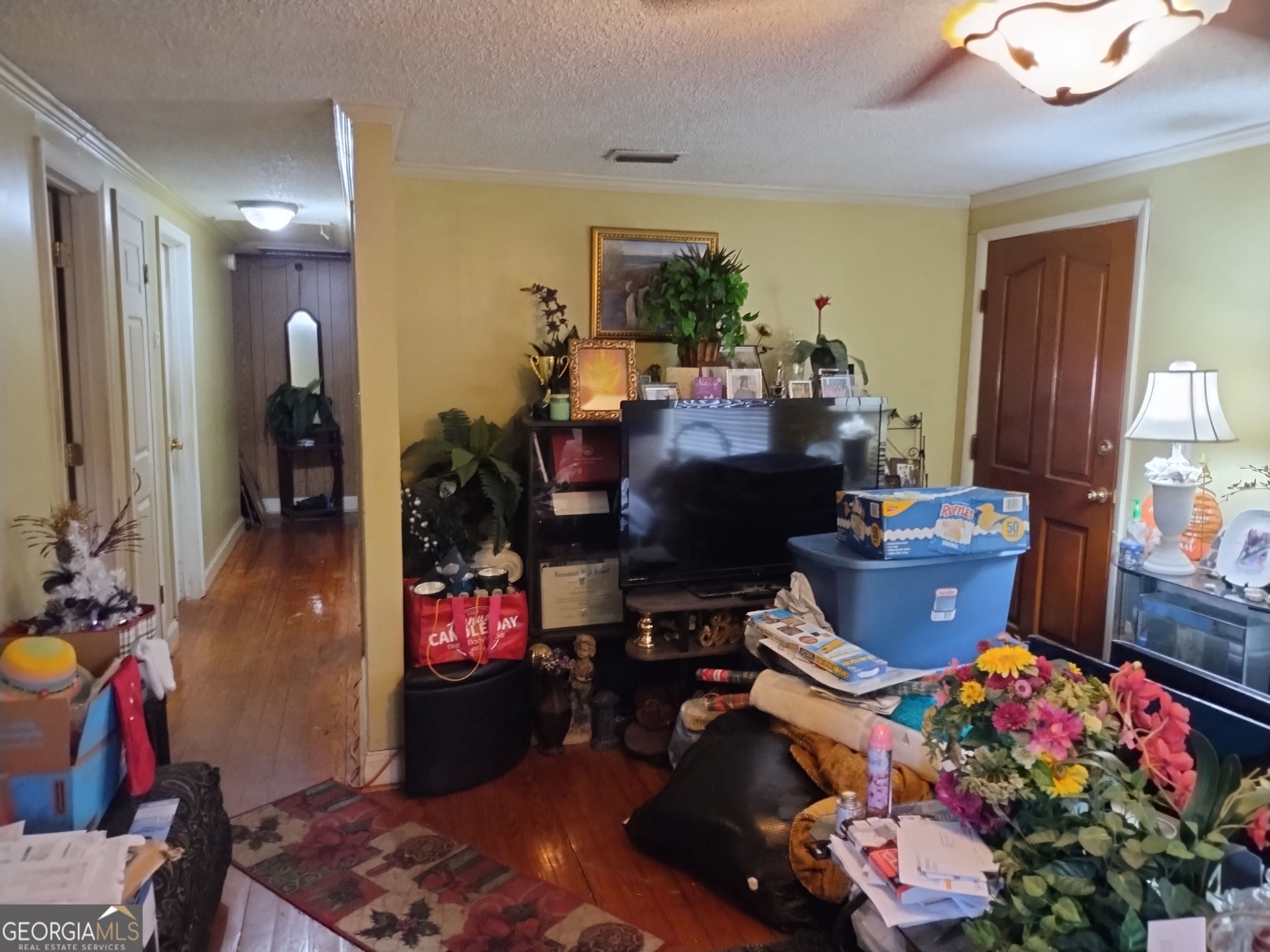 511 Greene Street Darien, GA 31305 - Photo 4 of 10