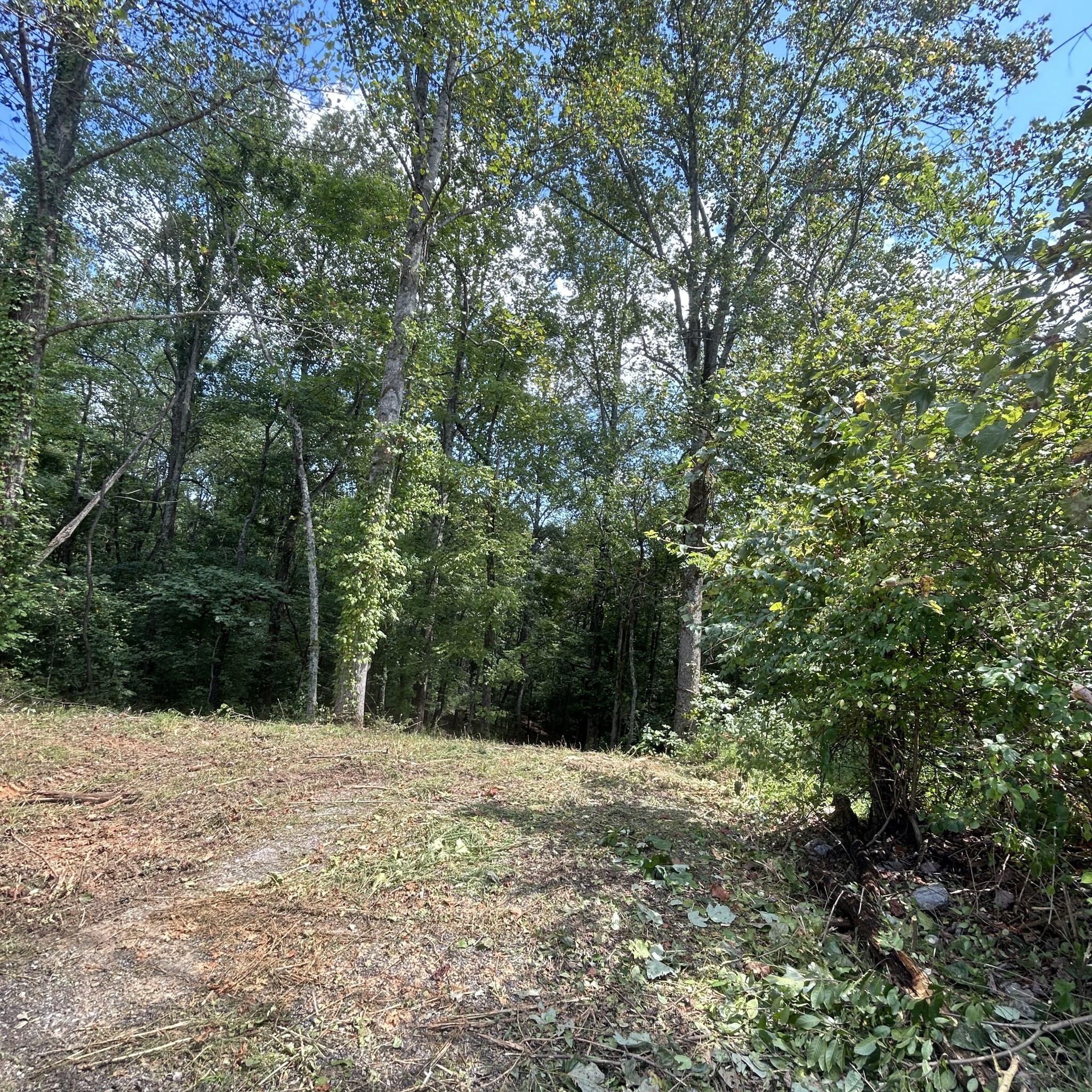0 Boston Theta Road Columbia, TN 38401 - Photo 3 of 10 Gallery Image 3
