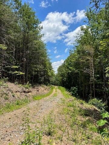 5 Owl Hollow Road Southwest McDonald, TN 37353 - Photo 10 of 32