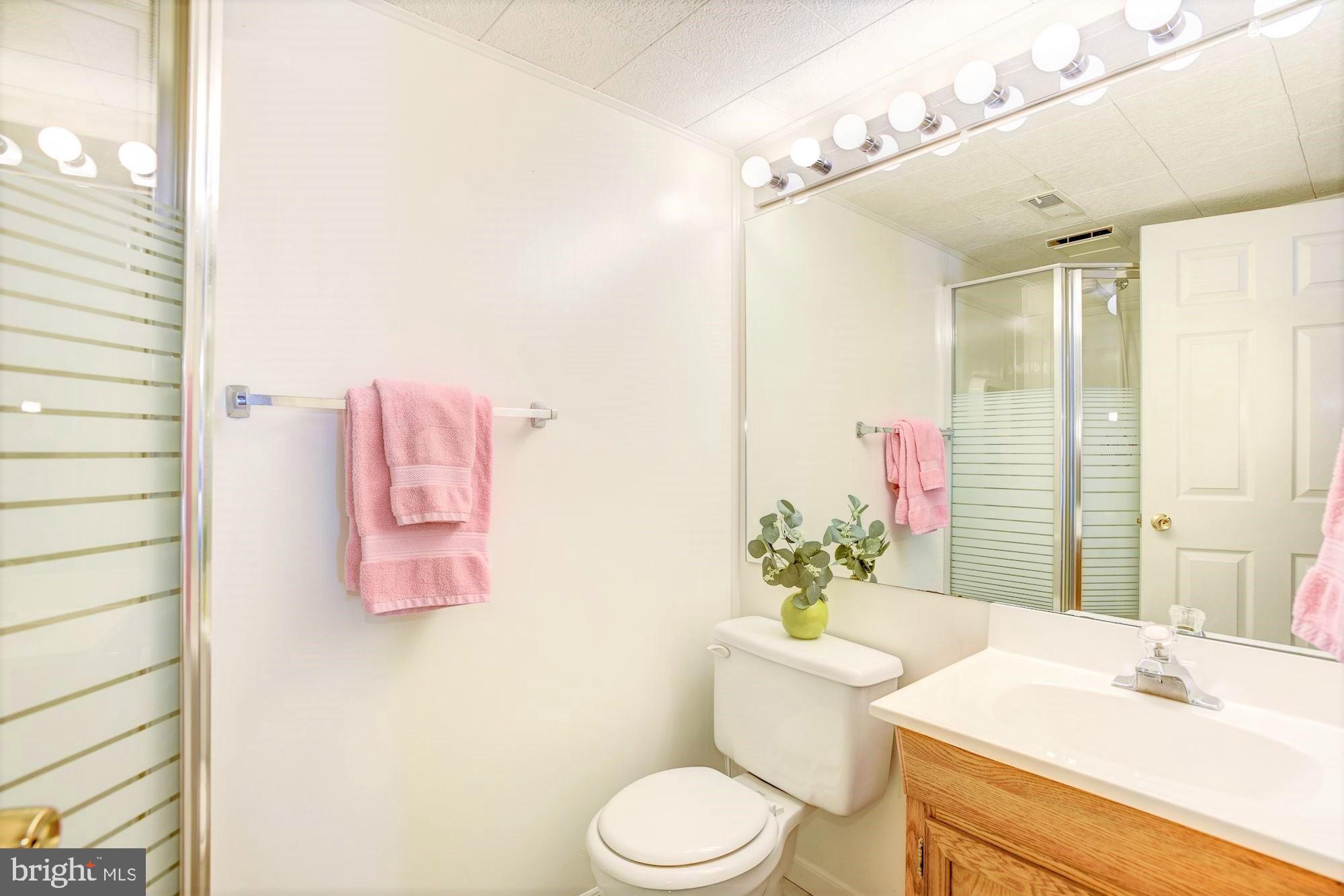 1501 Autumn Ridge Circle Reston, VA 20194 - Photo 18 of 22 Lower Lvl Full Bathroom