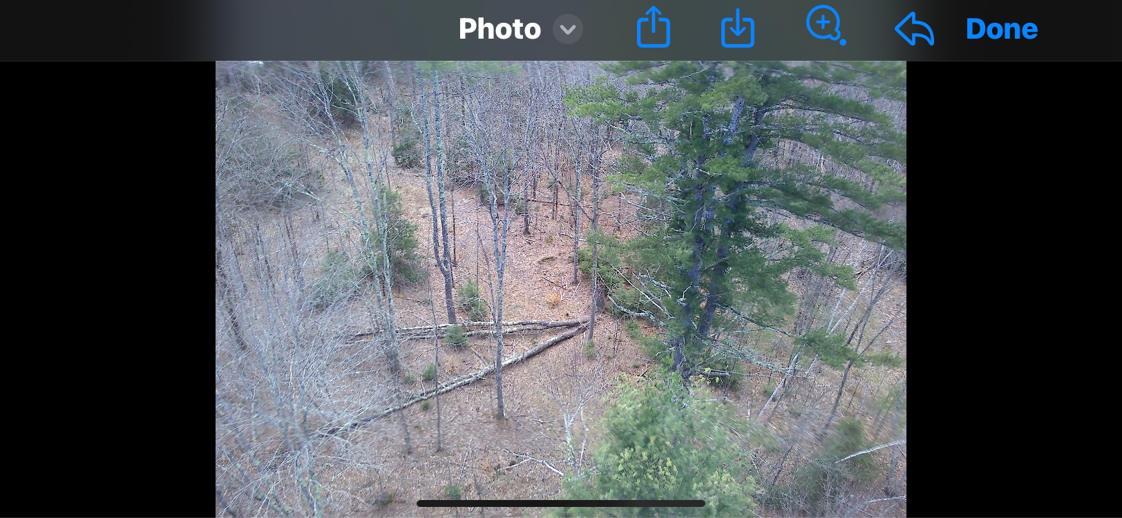 0 Dump Road Chester, NH 03036 - Photo 13 of 17