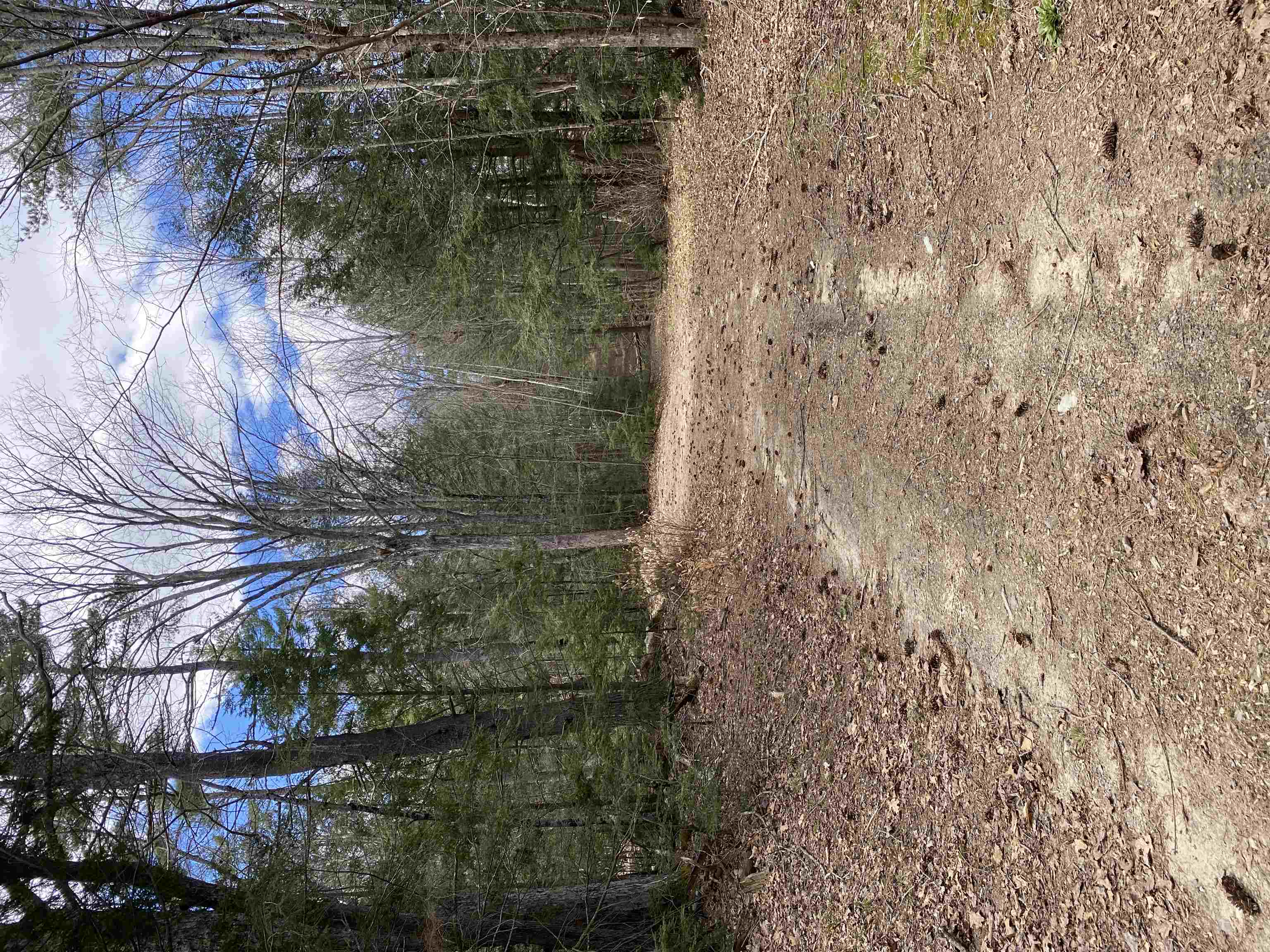0 Dump Road Chester, NH 03036 - Photo 14 of 17