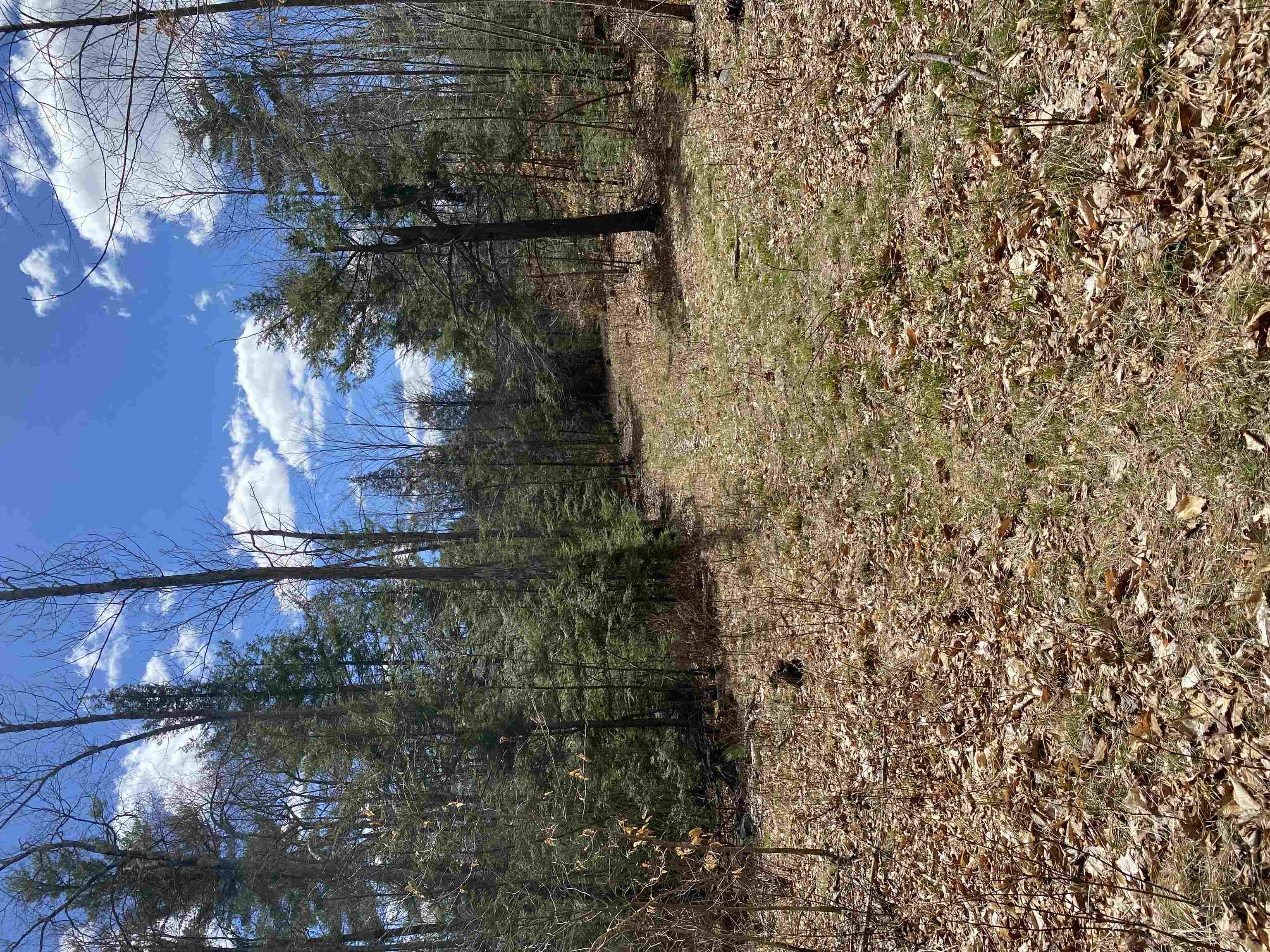 0 Dump Road Chester, NH 03036 - Photo 15 of 17