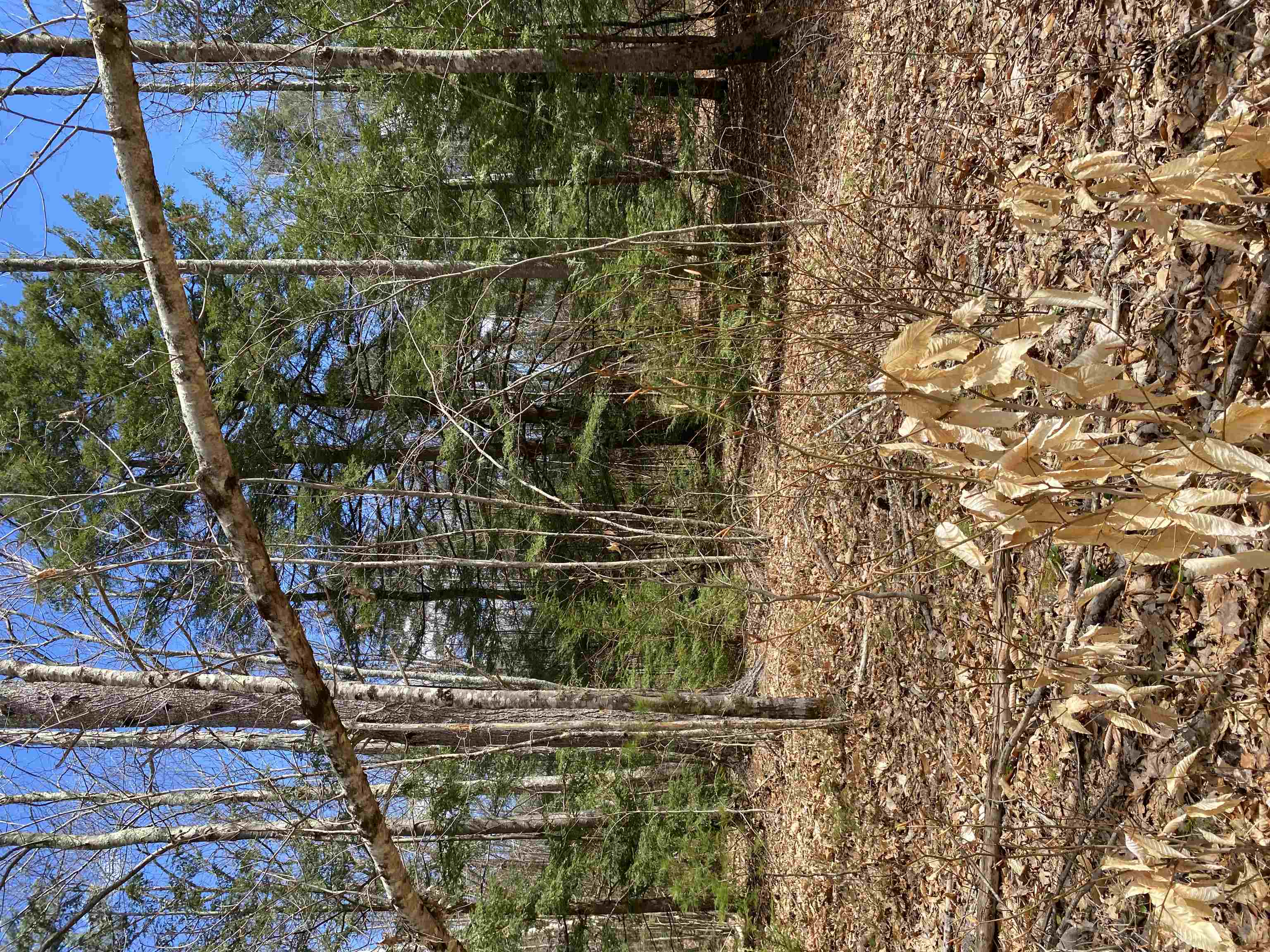 0 Dump Road Chester, NH 03036 - Photo 16 of 17