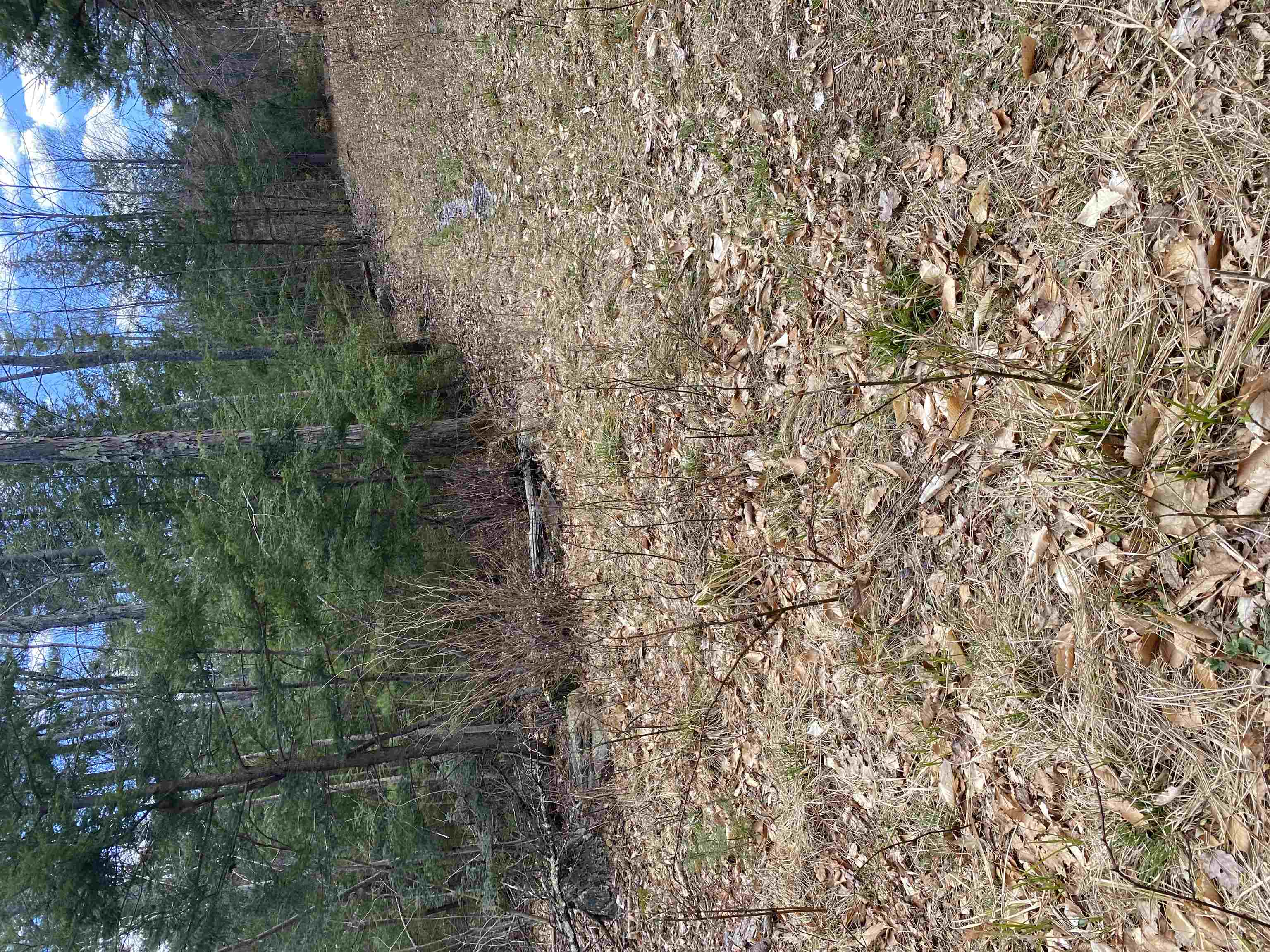 0 Dump Road Chester, NH 03036 - Photo 17 of 17