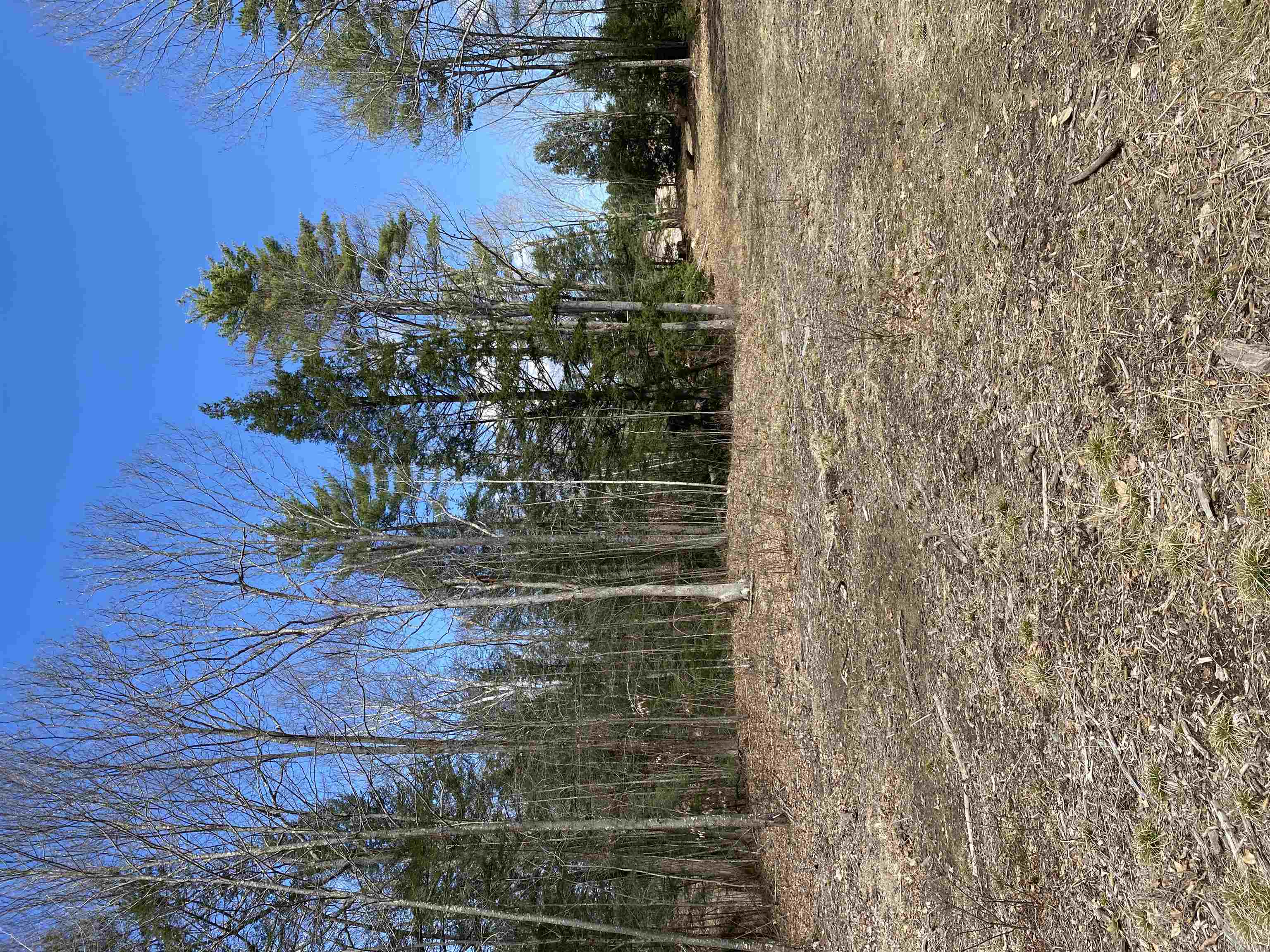 0 Dump Road Chester, NH 03036 - Photo 4 of 17