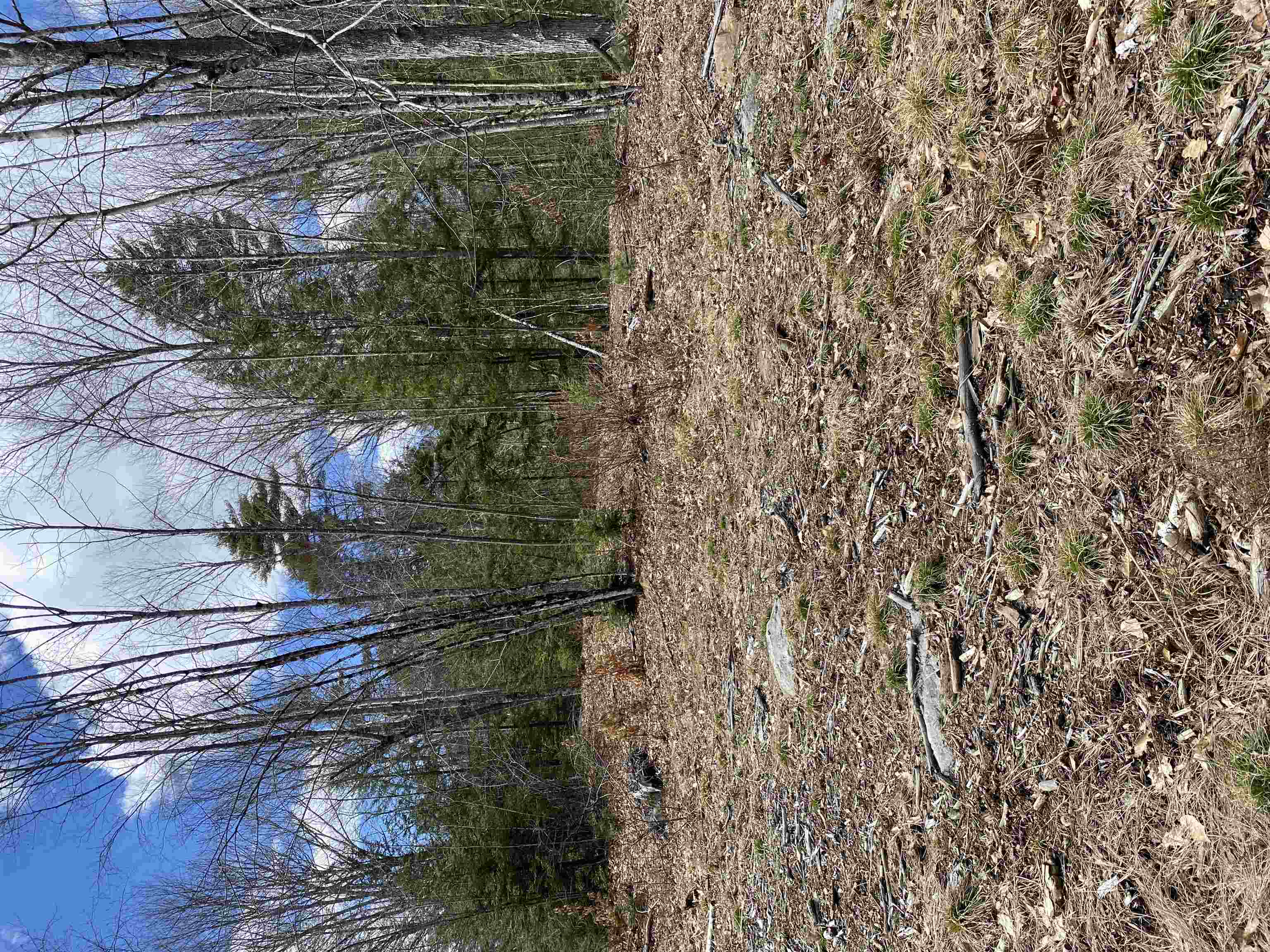 0 Dump Road Chester, NH 03036 - Photo 5 of 17