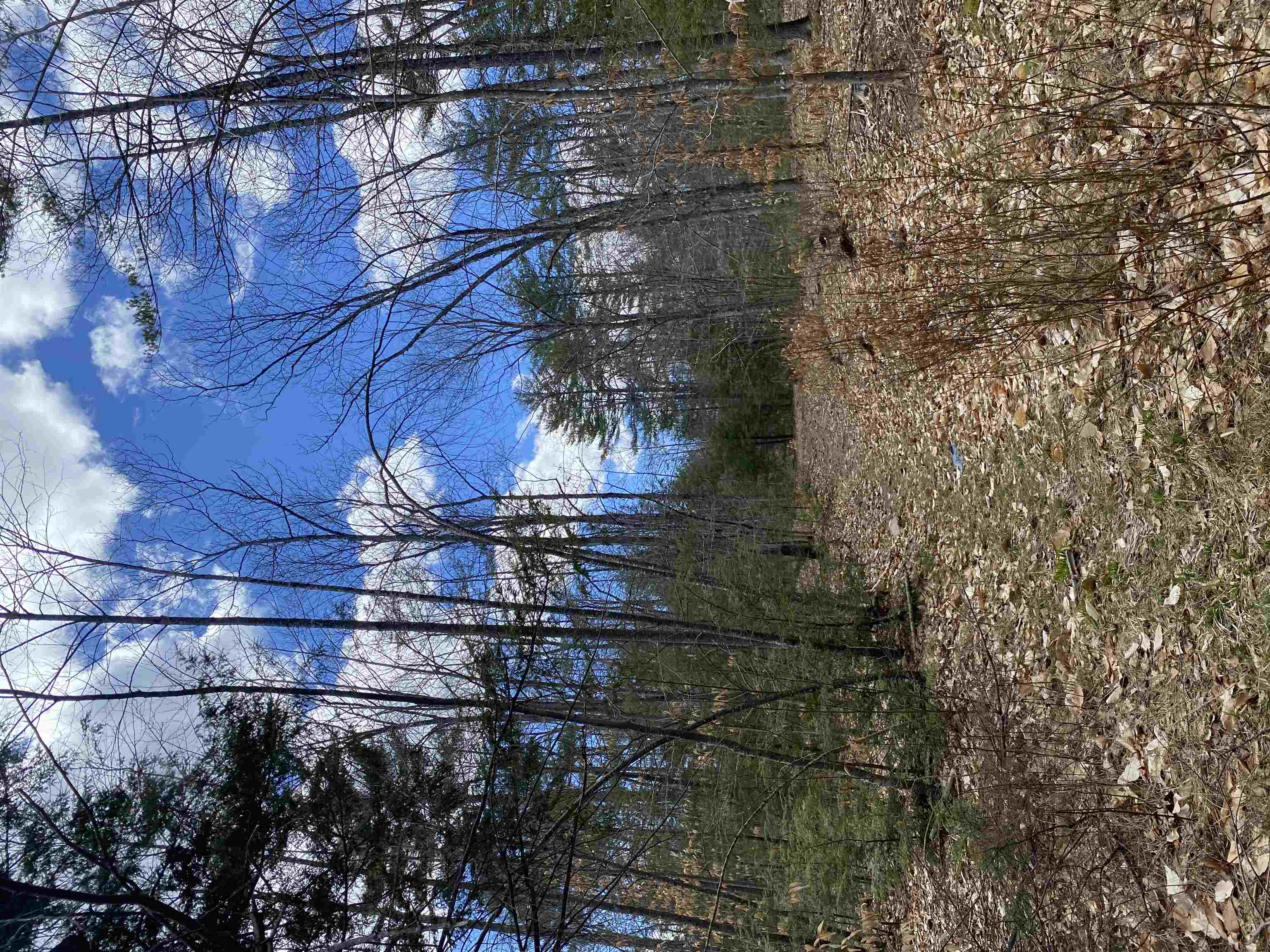 0 Dump Road Chester, NH 03036 - Photo 6 of 17