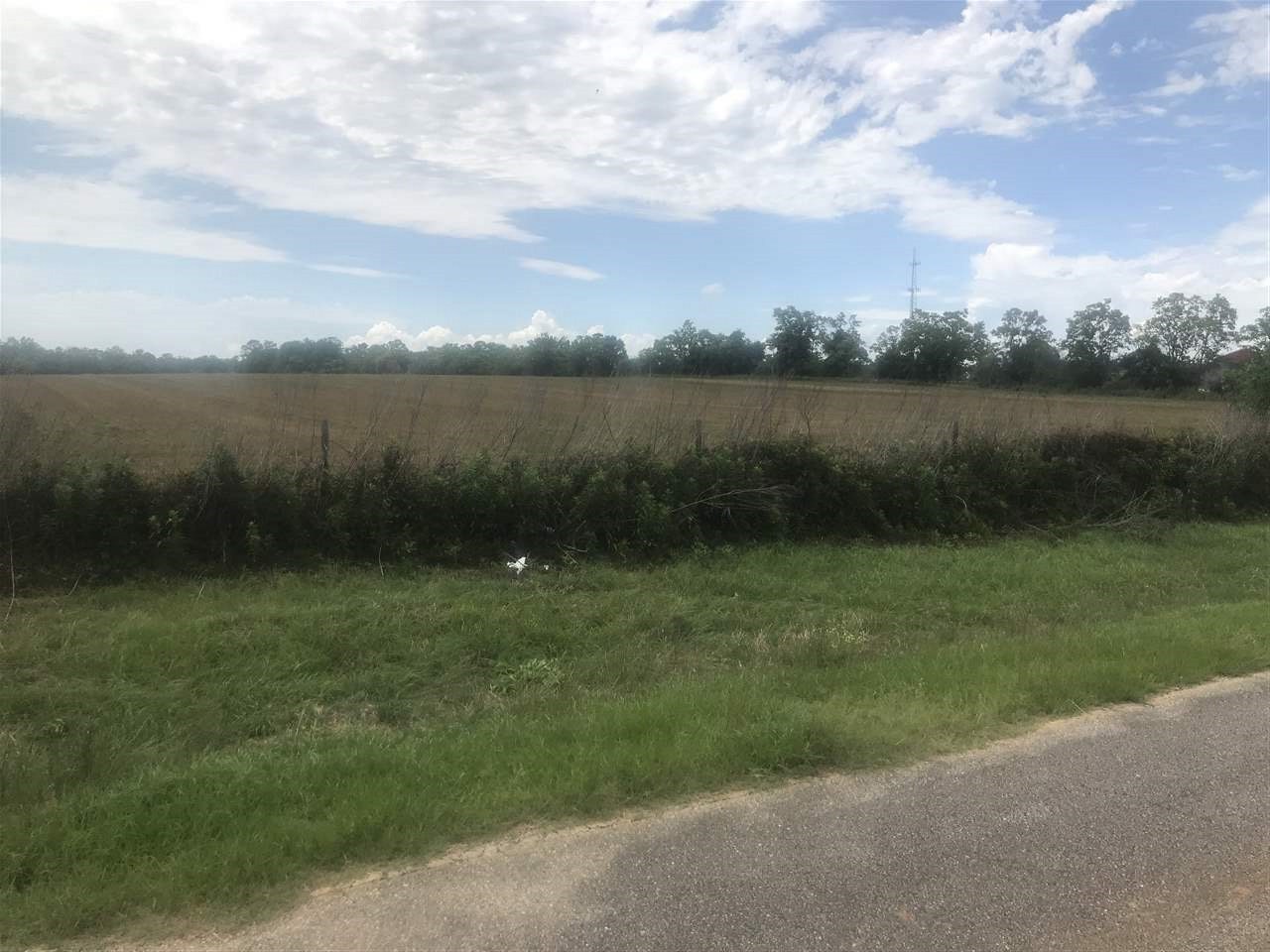 23165 Poplar Road Robertsdale, AL 36567 - Photo 2 of 4