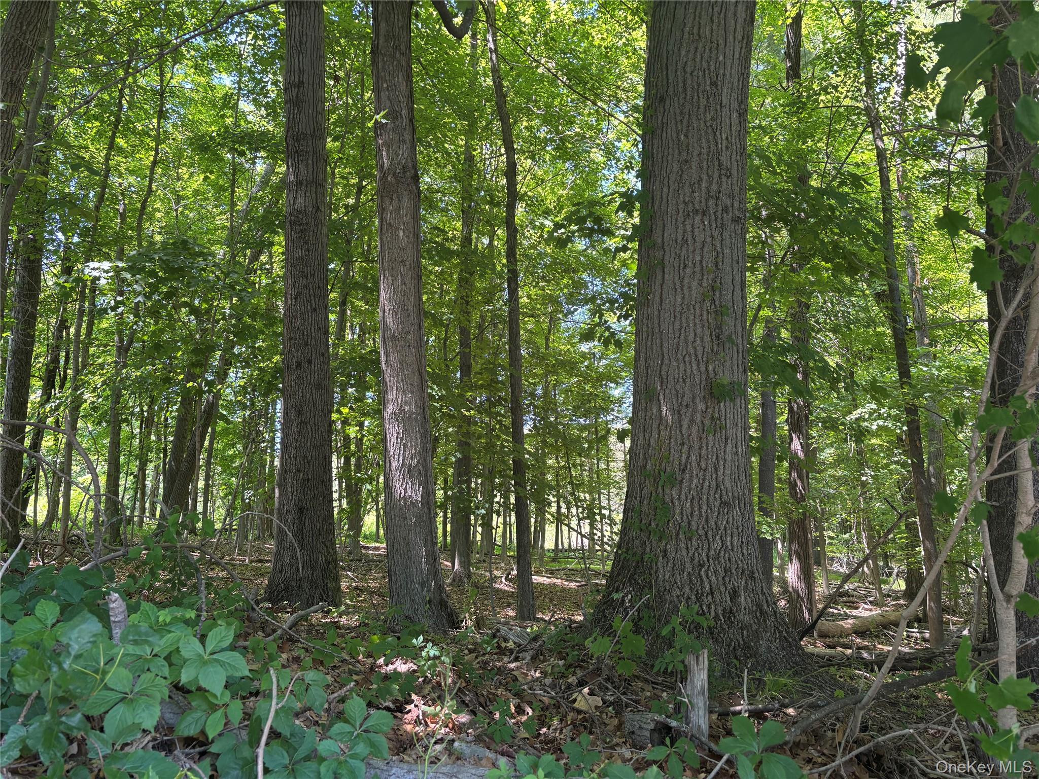 0 Smith Road Poughkeepsie, NY 12603 - Photo 3 of 8