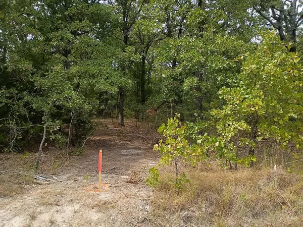 $9,500 | 124 Rising Star Trail, Mabank, TX 75156