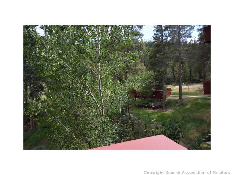 78 Guller Road, Unit 212 Frisco, CO 80443 - Photo 9 of 23 View. Timber Creek s large outdoor hot tub can barely been seen through the summer Aspens!
