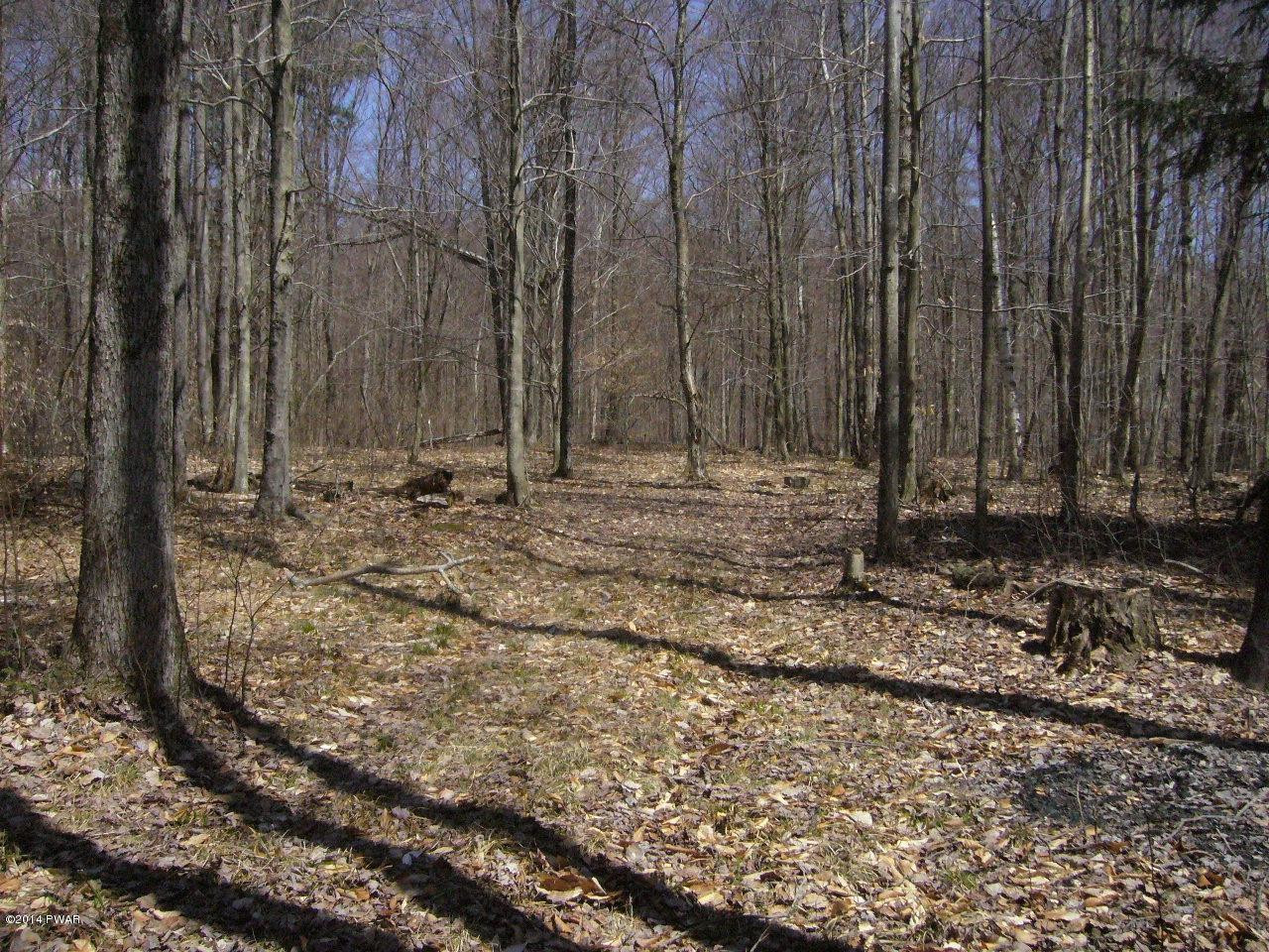 0 Dufton Hollow Road Hancock, NY 13783 - Photo 5 of 11