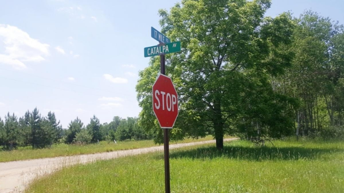 17 East 17 Mile Road Bitely, MI 49309 - Photo 1 of 2 B (1)