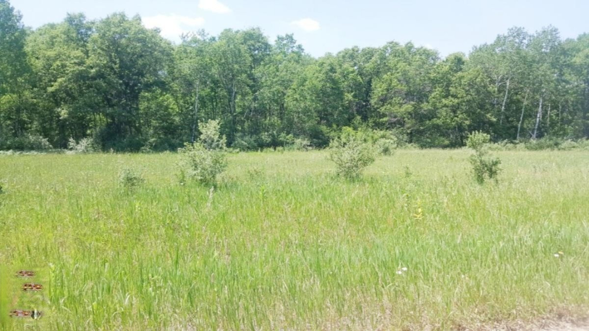 17 East 17 Mile Road Bitely, MI 49309 - Photo 2 of 2 B (2)