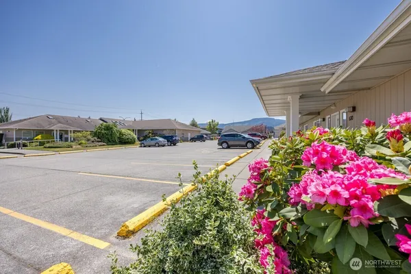 a view of yard with flowers and a garage