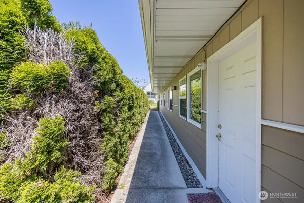 a view of a pathway both side of house