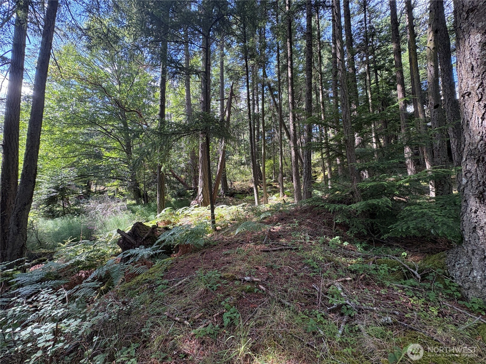 14 Rosario Road Orcas Island, WA 98245 - Photo 27 of 39