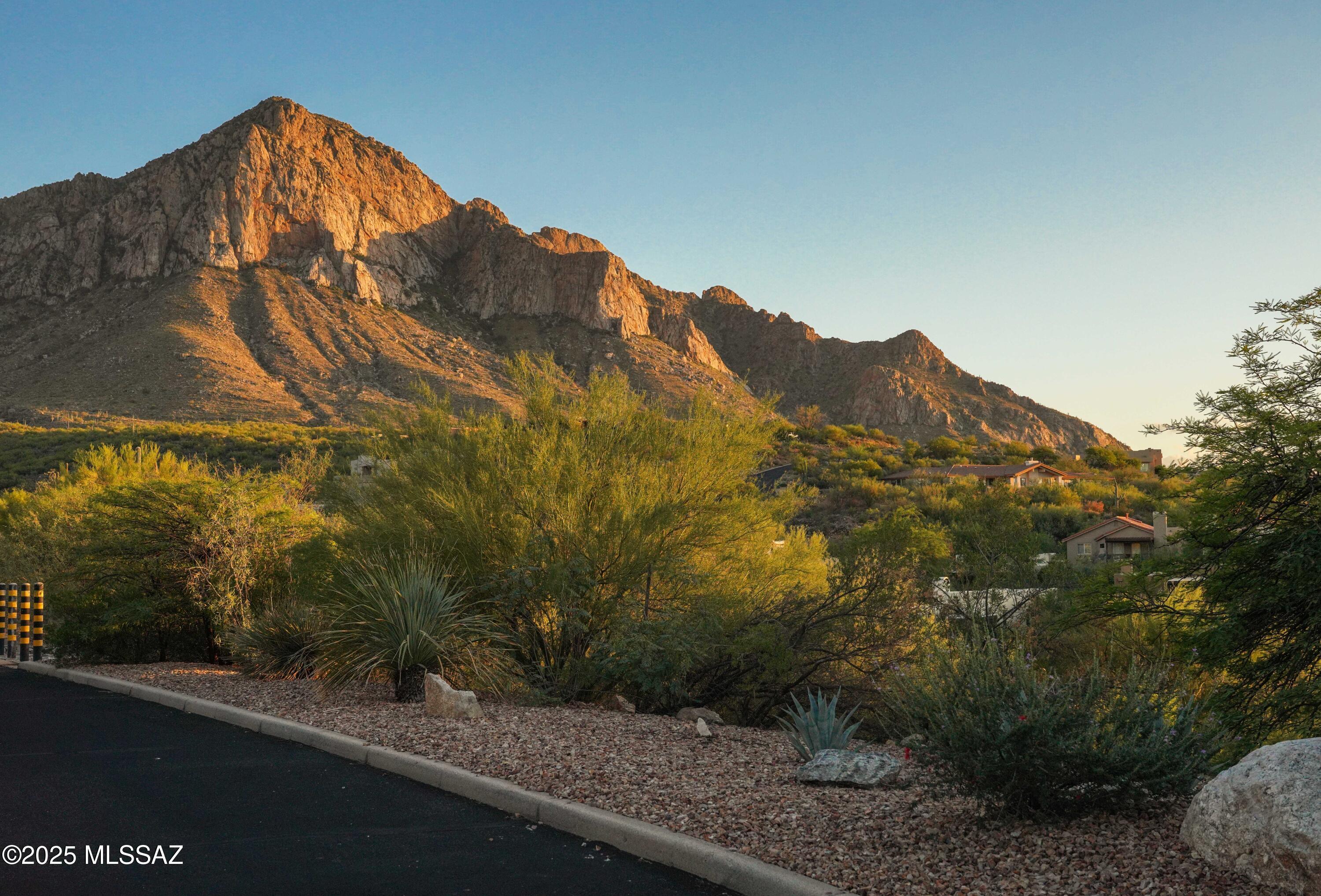 10576 Buck Ridge Drive, Unit 51 Tucson, AZ 85737 - Photo 18 of 20