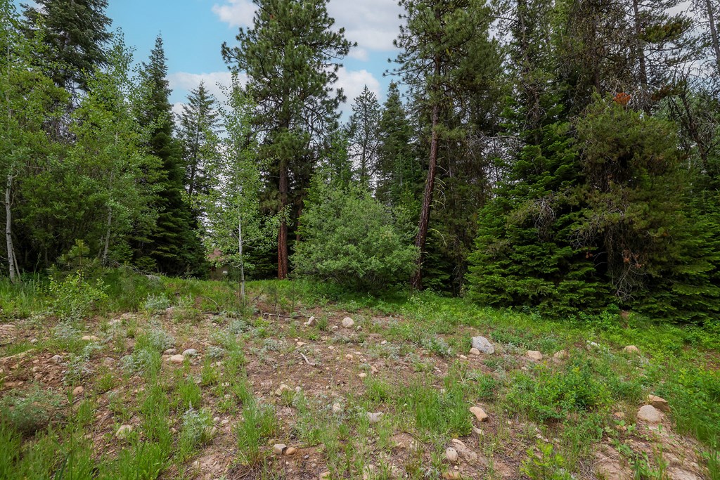 431 Timbercrest Loop, Unit 4 McCall, ID 83638 - Photo 7 of 28