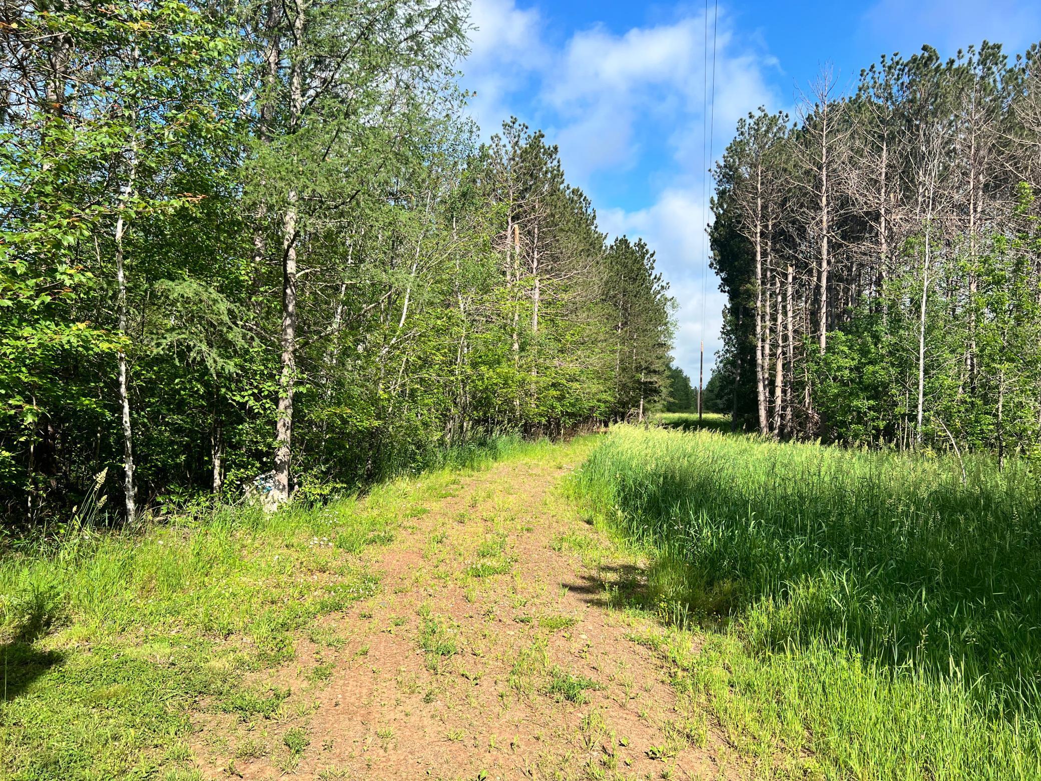 17701 Skunk Lake Road Sandstone, MN 55072 - Photo 1 of 1 Gallery Image 1