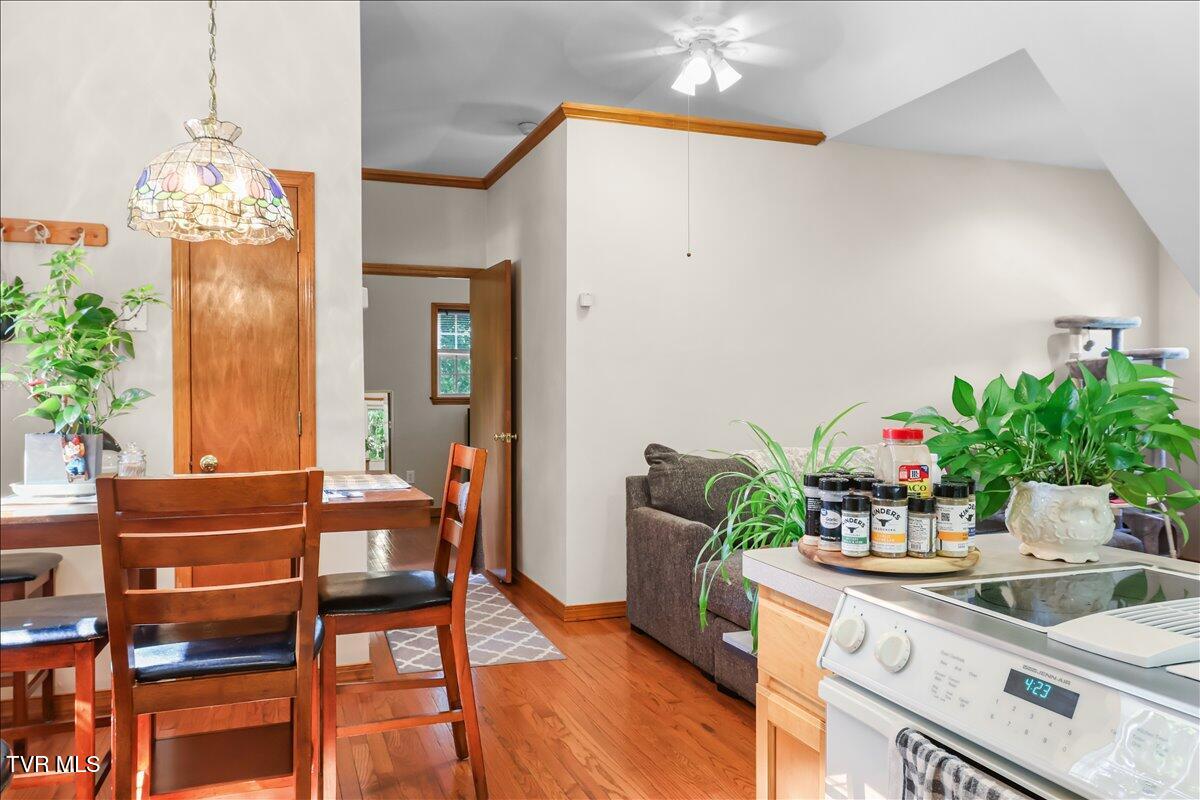 744 South Austin Springs Road Johnson City, TN 37601 - Photo 51 of 74 51-IMG_8164