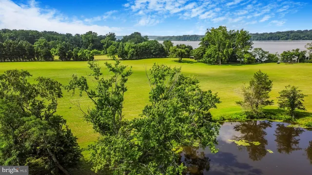 a view of a lake with houses in the back