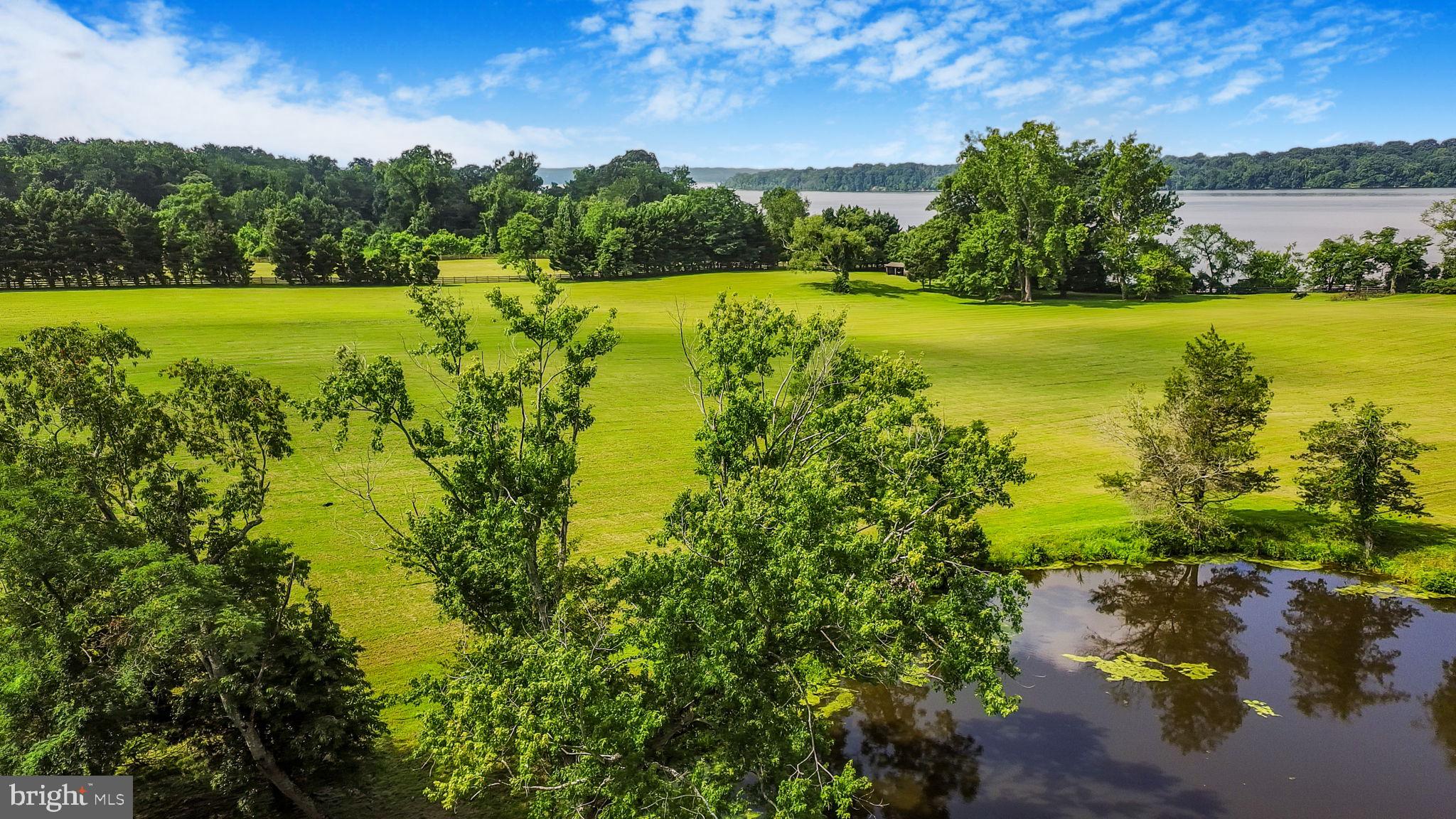 a view of a lake with houses in the back