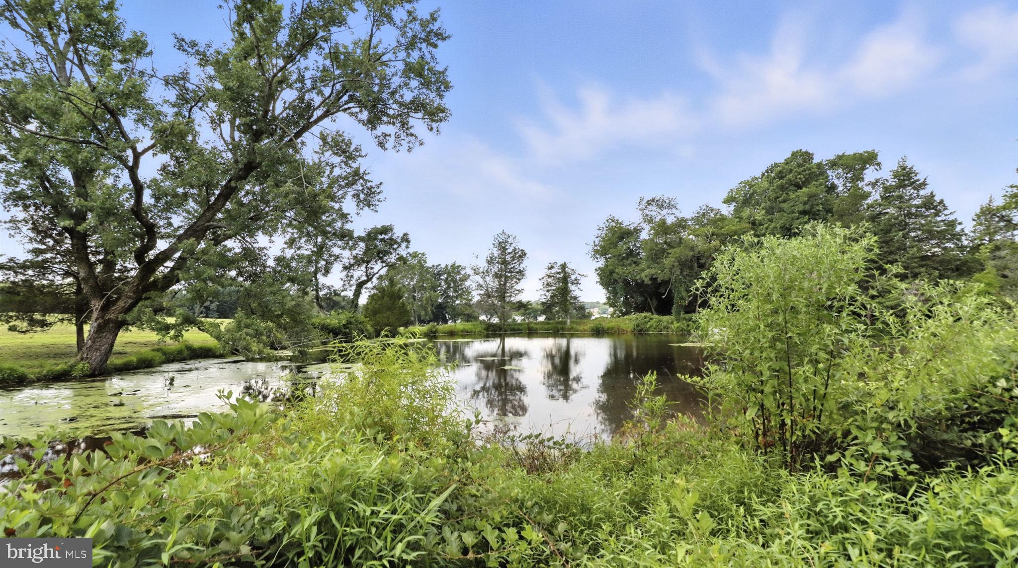 11305 Riverview Road Fort Washington, MD 20744 - Photo 39 of 59 a view of a lake with houses in the back